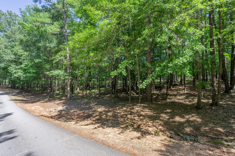 2721 Parrott's Pointe Road image 2